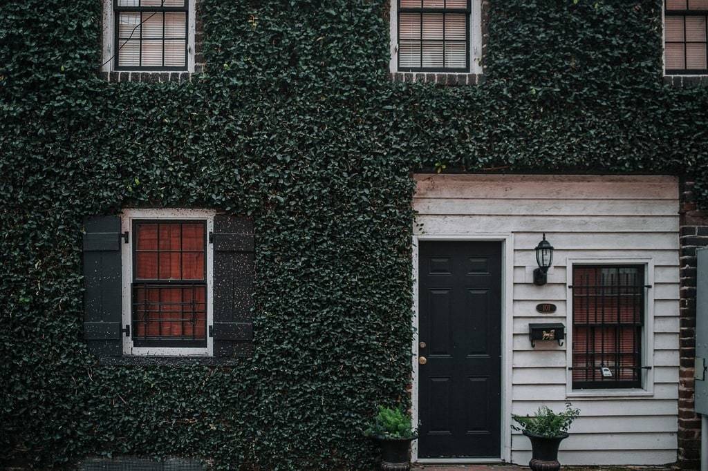 Les tendances actuelles en matière de portes d'entrée